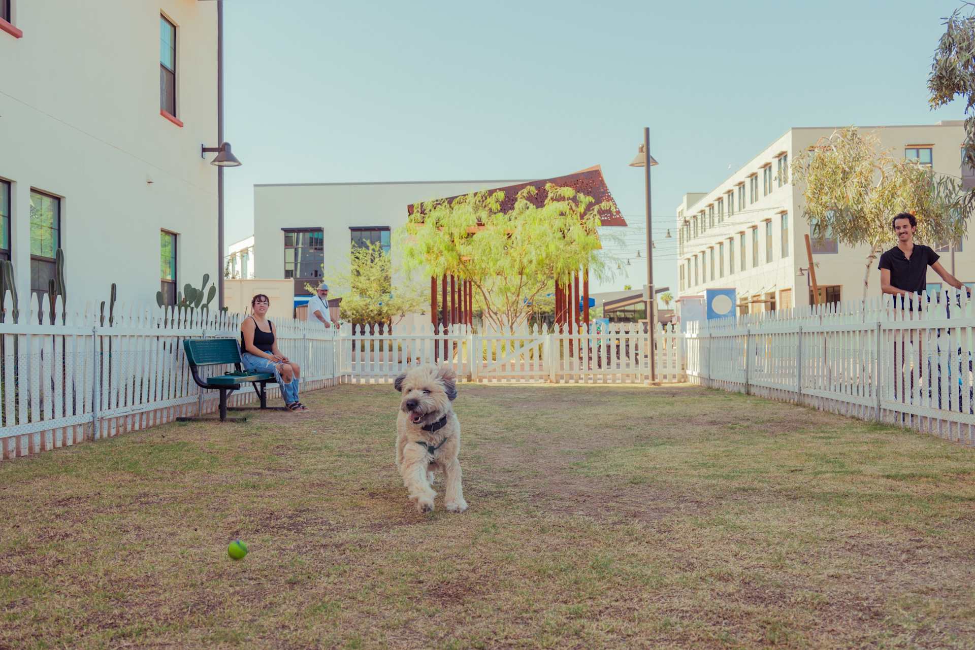 Two fenced dog parks